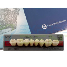 Зуби Yamahachi, жувальна група, C2 M30, низ, 8шт.