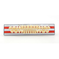 Полноценная гарнитура Yamahachi Teeth B1 S4