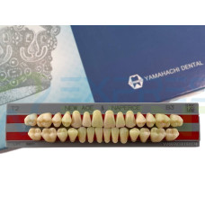 Зуби Yamahachi повний гарнітур B3 Т2