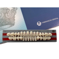 Полноценная гарнитура Yamahachi Teeth C1 T4
