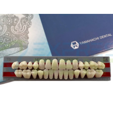 Зуби Yamahachi повний гарнітур C1 Т5