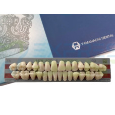 Зуби Yamahachi повний гарнітур C2 T6