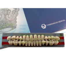 Зуби Yamahachi повний гарнітур C3 T3