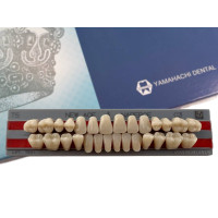 Зубы Yamahachi полный гарнитур C3 T5