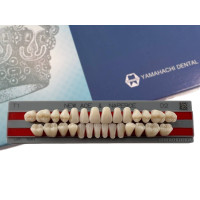 Зубы Yamahachi полный гарнитур D2 T1