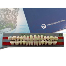 Зуби Yamahachi повний гарнітур D2 T1