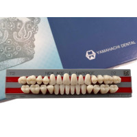 Зубы Yamahachi полный гарнитур D2 T2