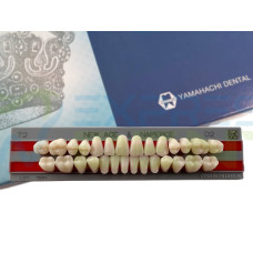 Зуби Yamahachi повний гарнітур D2 T2