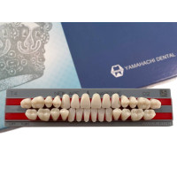 Зубы Yamahachi полный гарнитур D2 T4