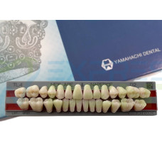 Зуби Yamahachi повний гарнітур D2 TL4