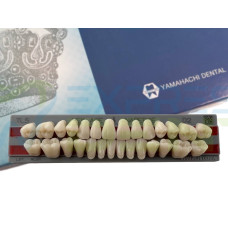 Зуби Yamahachi повний гарнітур D2 TL5