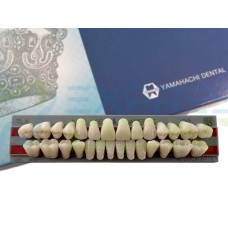 Зуби Yamahachi повний гарнітур D2 TL6