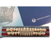 Полноценная гарнитура Yamahachi Teeth D3 S3
