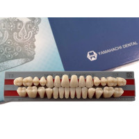 Зубы Yamahachi полный гарнитур D3 T3