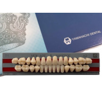 Зубы Yamahachi полный гарнитур А2 Т1