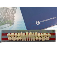 Зуби Yamahachi повний гарнітур А2 Т2
