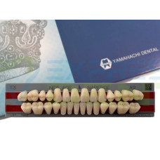 Зуби Yamahachi повний гарнітур А2 Т3