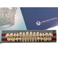 Зубы Yamahachi полный гарнитур А2 Т5