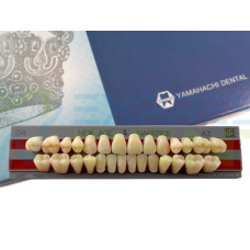 Зуби Yamahachi повний гарнітур А3 O4
