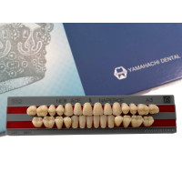 Зубы Yamahachi полный гарнитур А3 SS2
