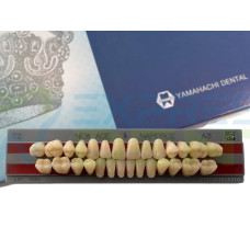 Зуби Yamahachi повний гарнітур А3 Т2