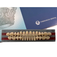 Зубы Yamahachi полный гарнитур А3 Т4