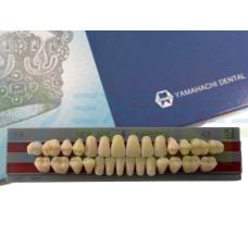 Зуби Yamahachi повний гарнітур А3 Т4