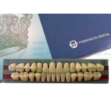 Зуби Yamahachi повний гарнітур А3 Т6