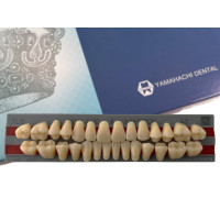 Зуби Yamahachi повний гарнітур А3 ТL5
