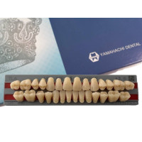 Зубы Yamahachi полный гарнитур А3.5 ТL6