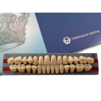 Зубы Yamahachi полный гарнитур А3.5 Т6