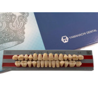 Зубы Yamahachi полный гарнитур А4 SS2