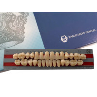 Зуби Yamahachi повний гарнітур А4 Т1