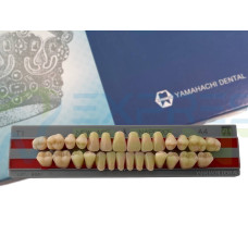 Зуби Yamahachi повний гарнітур А4 Т1