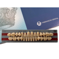Зубы Yamahachi полный гарнитур А4 Т2