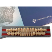 Зубы Yamahachi полный гарнитур А4 Т4
