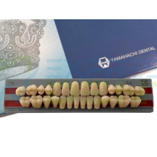 Зуби Yamahachi повний гарнітур А4 Т5