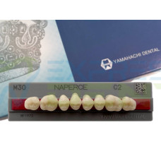 Зуби Yamahachi, жувальна група, C2 M30, верх, 8шт.