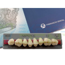 Зуби Yamahachi, жувальна група, C2 M33, верх, 8шт.