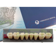 Зуби Yamahachi, жувальна група, C2 M33, низ, 8шт.
