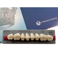 Зубы Yamahachi, жевательная группа, C2 M34, верх, 8шт.
