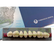 Зуби Yamahachi, жувальна група, C2 M34, верх, 8шт.