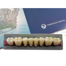 Зуби Yamahachi, жувальна група, C2 M34, низ, 8шт.