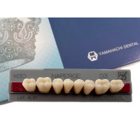 Зуби Yamahachi, жувальна група, D3 M30, низ, 8шт.