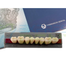 Зуби Yamahachi, жувальна група, D3 M30, низ, 8шт.