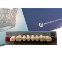 Зубы Yamahachi, жевательная группа, D3 M32, верх, 8шт.