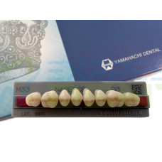 Yamahachi зубы, жевательная группа, D3 M33, верх, 8шт