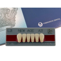 Зубья Yamahachi, передняя группа, A3, L3 дно, 6шт.