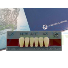 Зуби Yamahachi, фронтальна група, A3, L3 низ, 6шт.