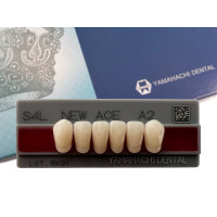 Зубья Yamahachi, передняя группа, A2, S4L дно, 6шт.
